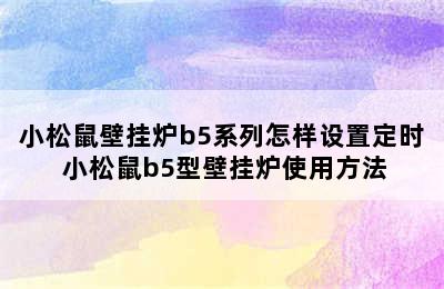 小松鼠壁挂炉b5系列怎样设置定时 小松鼠b5型壁挂炉使用方法